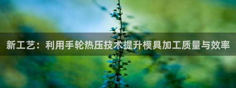 易倍申医保报销：新工艺：利用手轮热压技术提升模具加工质量