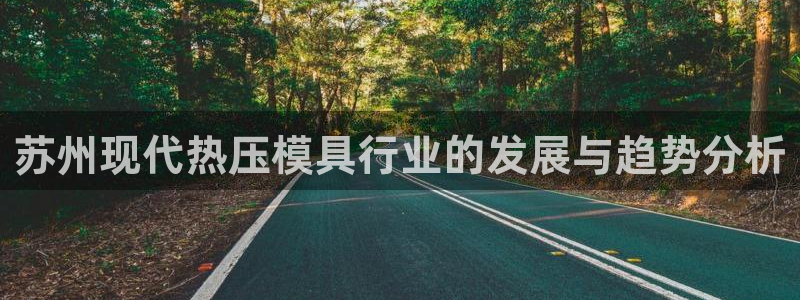 易倍电竞：苏州现代热压模具行业的发展与趋势分析
