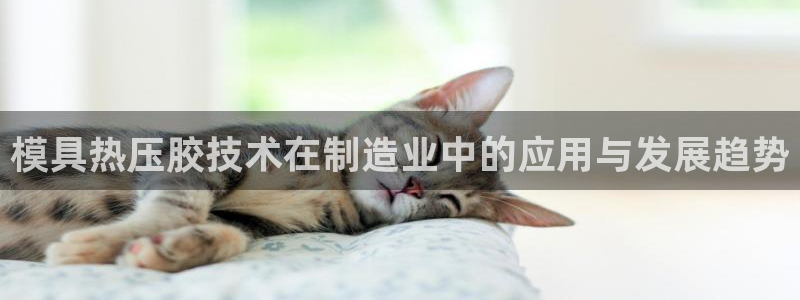 emc易倍登录：模具热压胶技术在制造业中的应用与发展趋势