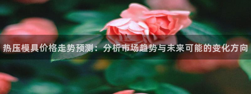 易倍申能长期吃吗：热压模具价格走势预测：分析市场趋势与未