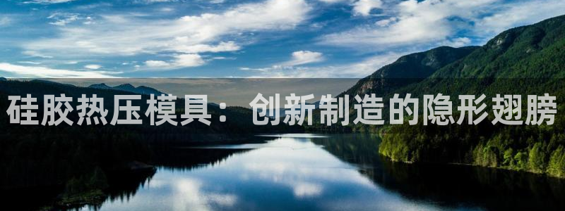 易倍纤瘦身三部曲的价格：硅胶热压模具：创新制造的隐形翅膀