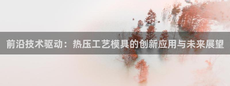 易倍达科技有限公司怎么样：前沿技术驱动：热压工艺模具的创