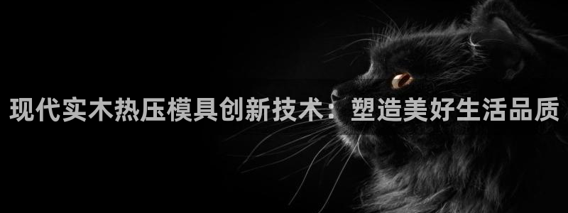 四川易倍易企业管理有限公司：现代实木热压模具创新技术：塑