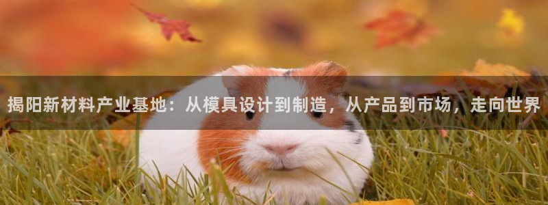 易倍申片：揭阳新材料产业基地：从模具设计到制造，从产品到