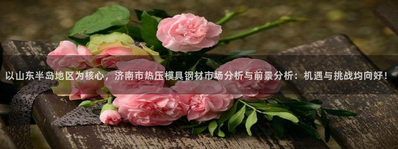 emc倍频干扰怎么解决：以山东半岛地区为核心，济南市热压
