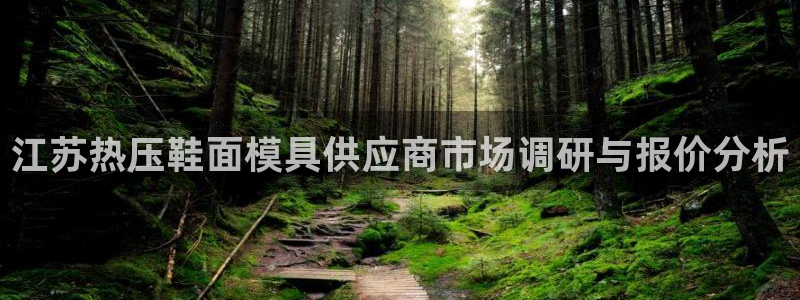 emc易贝体育怎么样：江苏热压鞋面模具供应商市场调研与报