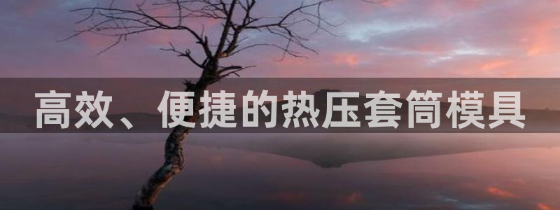 易倍app官网下载安装：高效、便捷的热压套筒模具