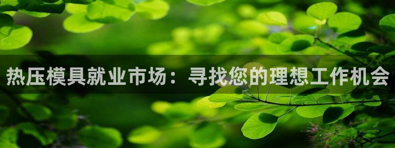 emc易倍网页版：热压模具就业市场：寻找您的理想工作机会